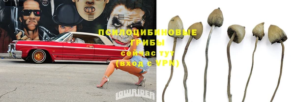 бошки Абдулино