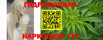 бошки Пугачёв