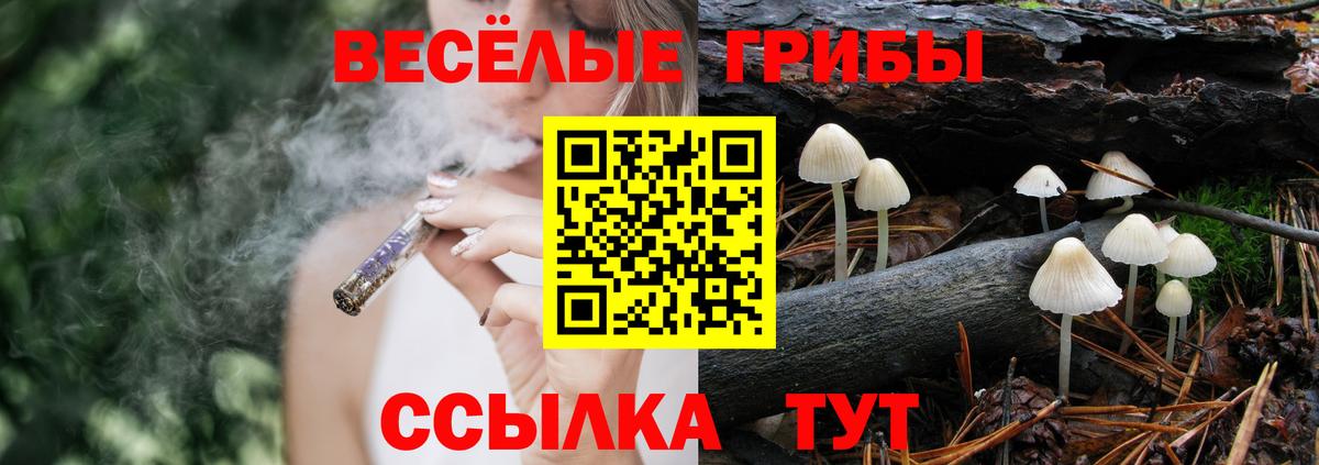 Тихорецк  Галлюциногенные грибы ЛСД  Псилоцибиновые грибы GOLDEN TEACHER  Вход с VPN 